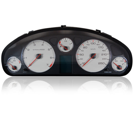 Peugeot 607 speedometer pixel error